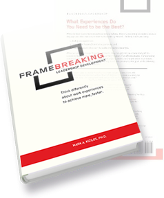 FrameBreaking Book